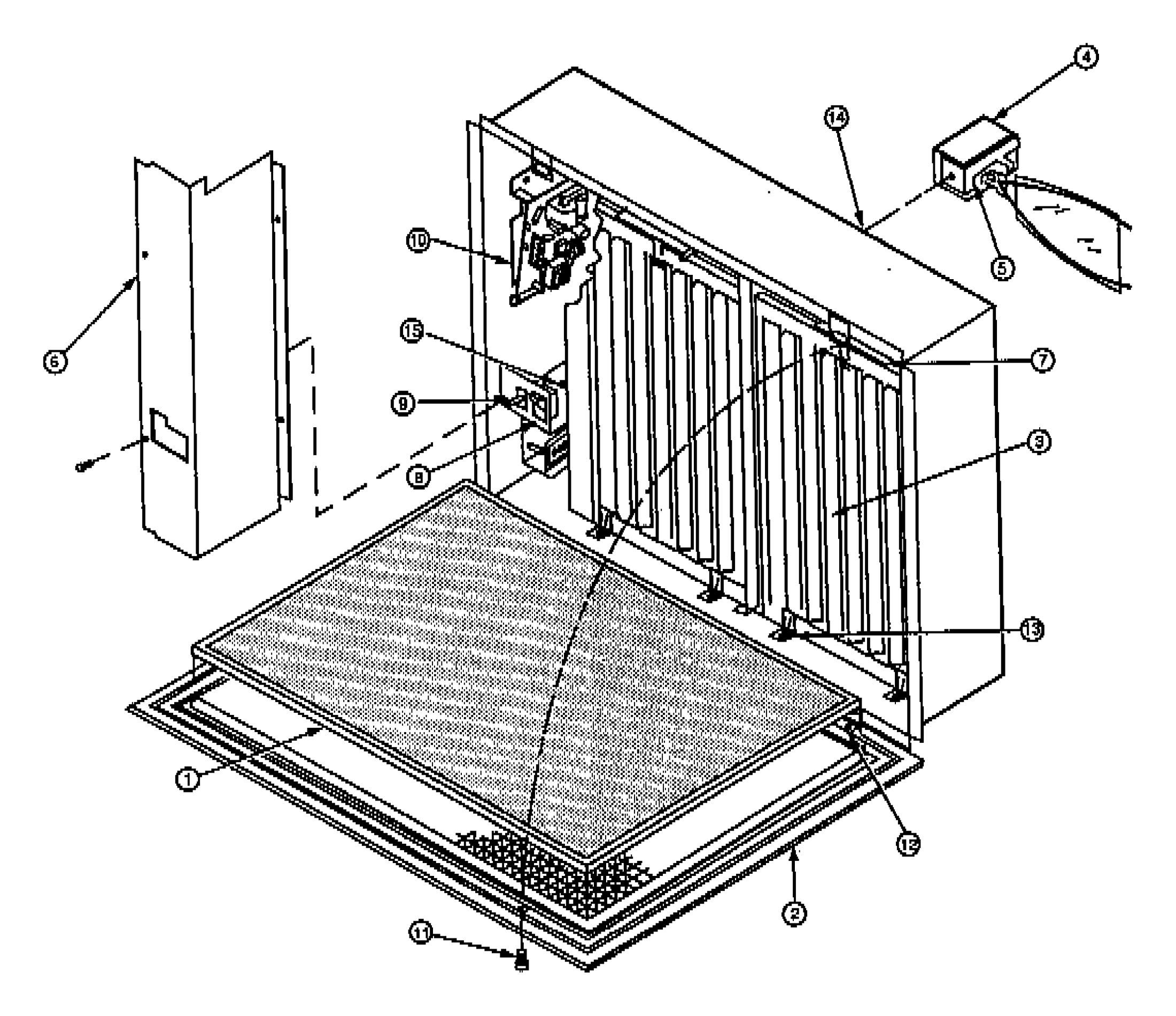 Dual Cell Model Dual Cell Model