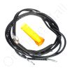 Neon Lamp Assembly